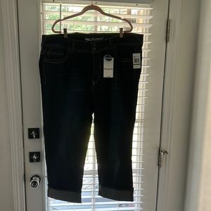 The Luscious Curvy fit Capri jeans size 22